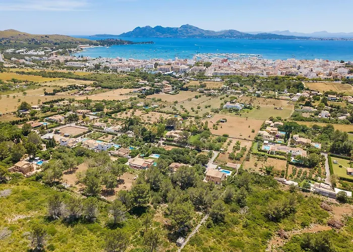 Luis Vives Поланко