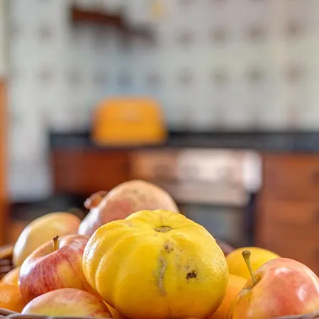 Luis Vives Casa vacanze